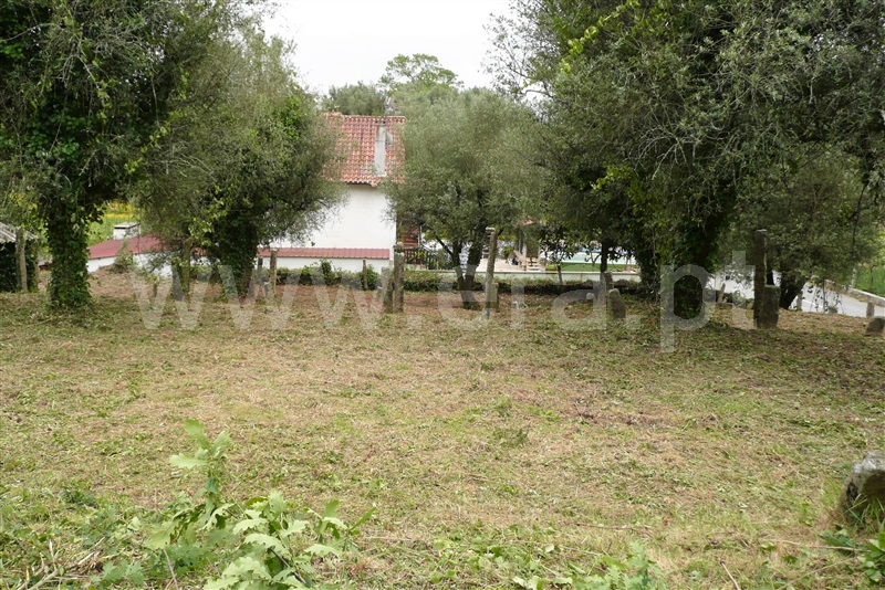 Terreno com ruina  Ponte de Lima, Arcozelo - 892678 - 7