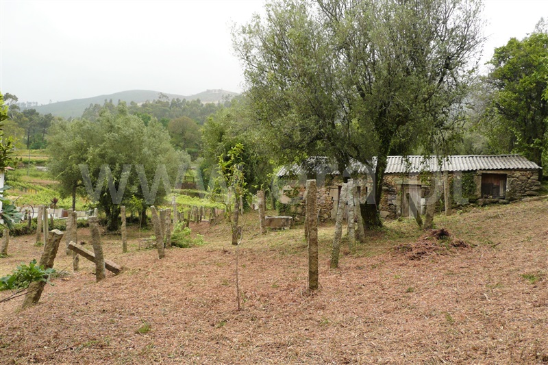 Terreno com ruina  Ponte de Lima, Arcozelo - 892678 - 8