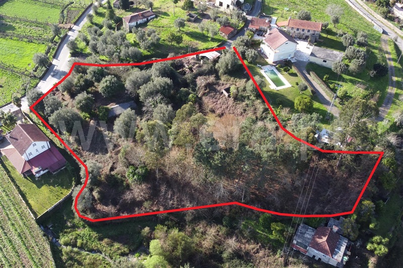 Terreno com ruina / Ponte de Lima, Arcozelo
