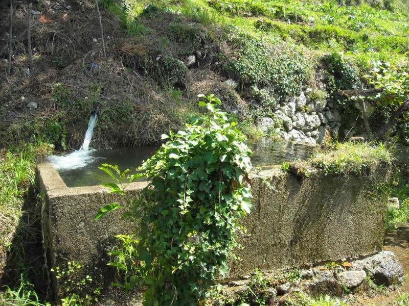 Terreno com ruina  Ponte de Lima, Barrio - 99305 - 2