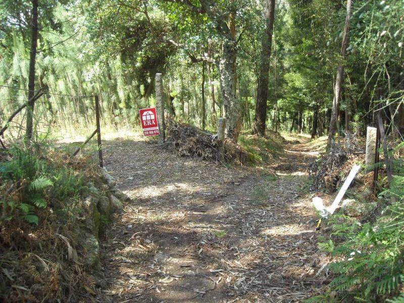 Terreno com ruina  Ponte de Lima, Barrio - 99305 - 5