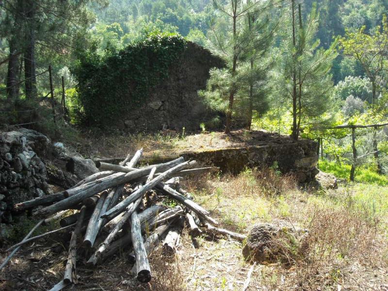 Terreno com ruina  Ponte de Lima, Barrio - 99305 - 6