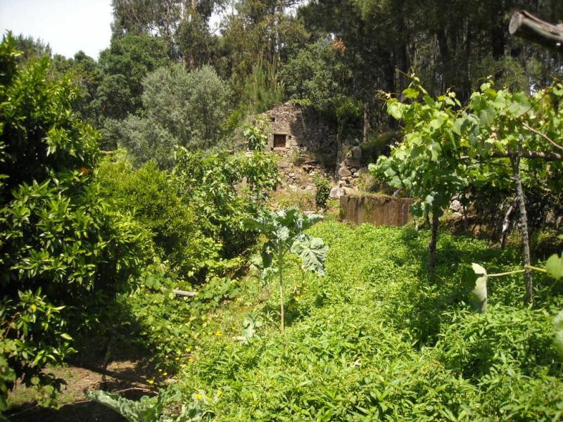 Terreno com ruina  Ponte de Lima, Barrio - 99305 - 12
