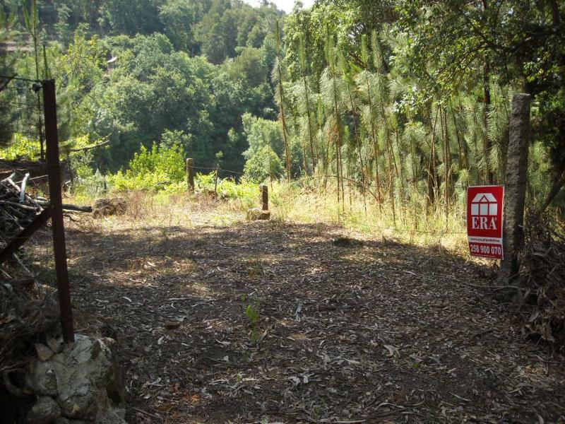Terreno com ruina  Ponte de Lima, Barrio - 99305 - 13