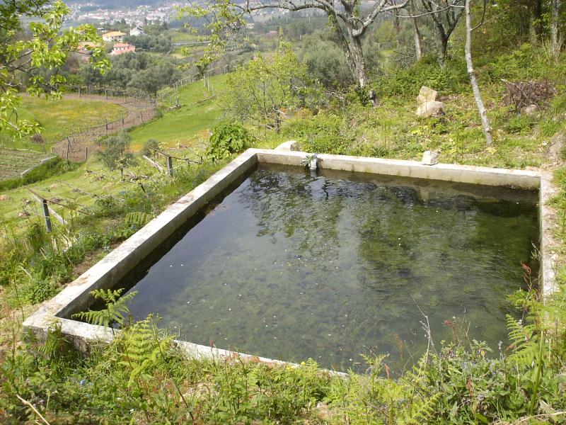 Terreno  Ponte de Lima, Beiral do Lima - 97664 - 3