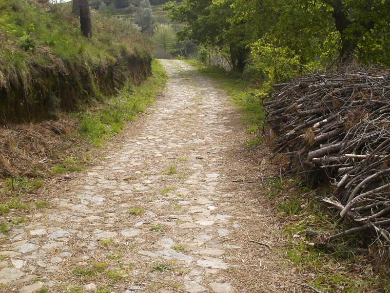 Terreno  Ponte de Lima, Beiral do Lima - 97664 - 5