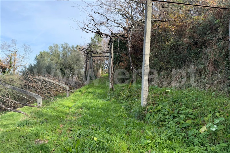 Terreno com ruina  Ponte de Lima, Beiral do Lima - 97664 - 8