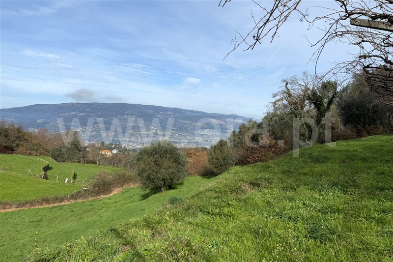 Terreno com ruina  Ponte de Lima, Beiral do Lima - 97664 - 9