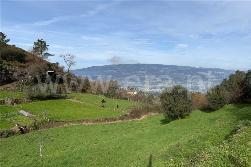 Terreno com ruina  Ponte de Lima, Beiral do Lima - 97664 - 12