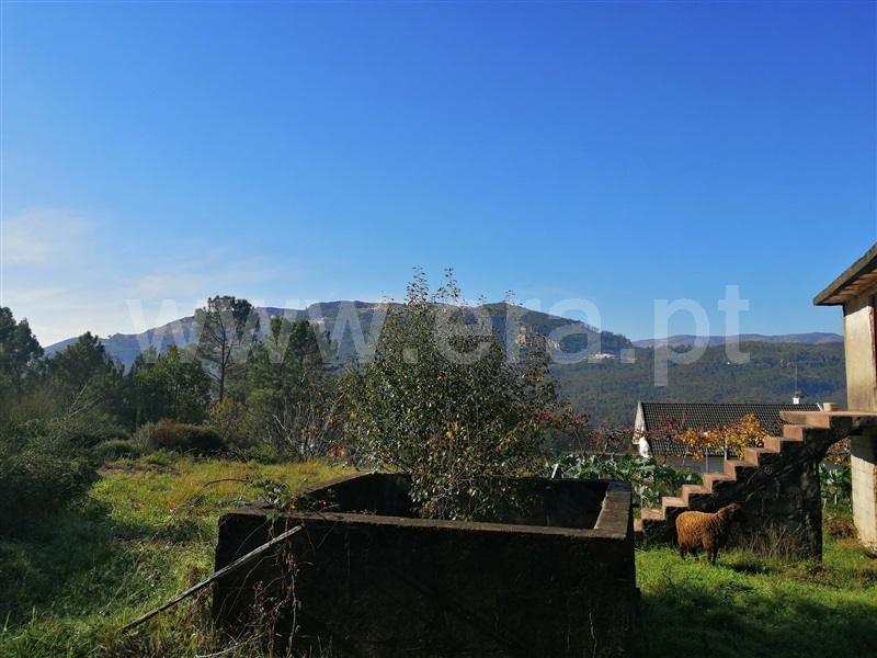 Terreno com ruina  Ponte de Lima, Cepões - 1131892 - 4