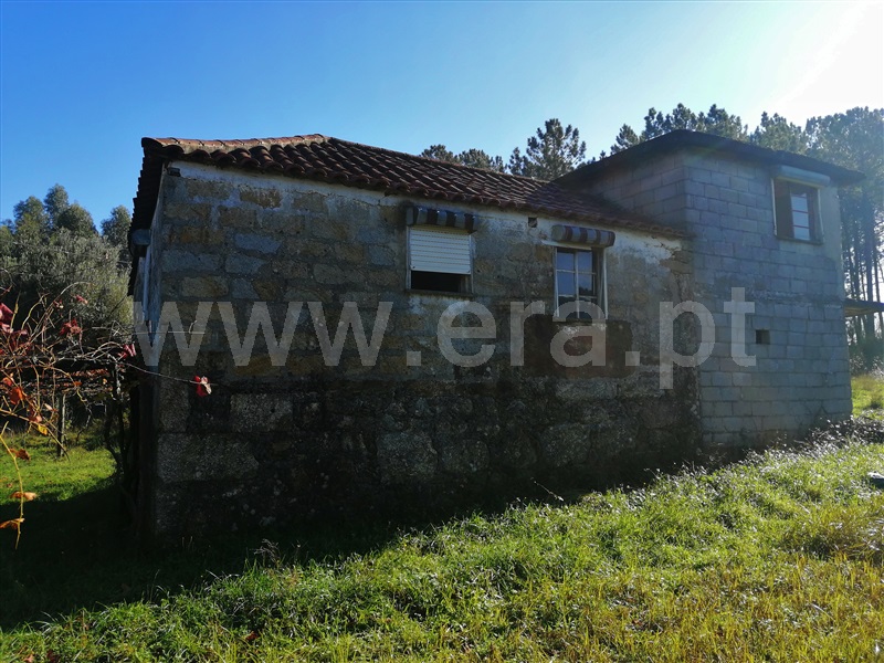 Terreno com ruina  Ponte de Lima, Cepões - 1131892 - 3