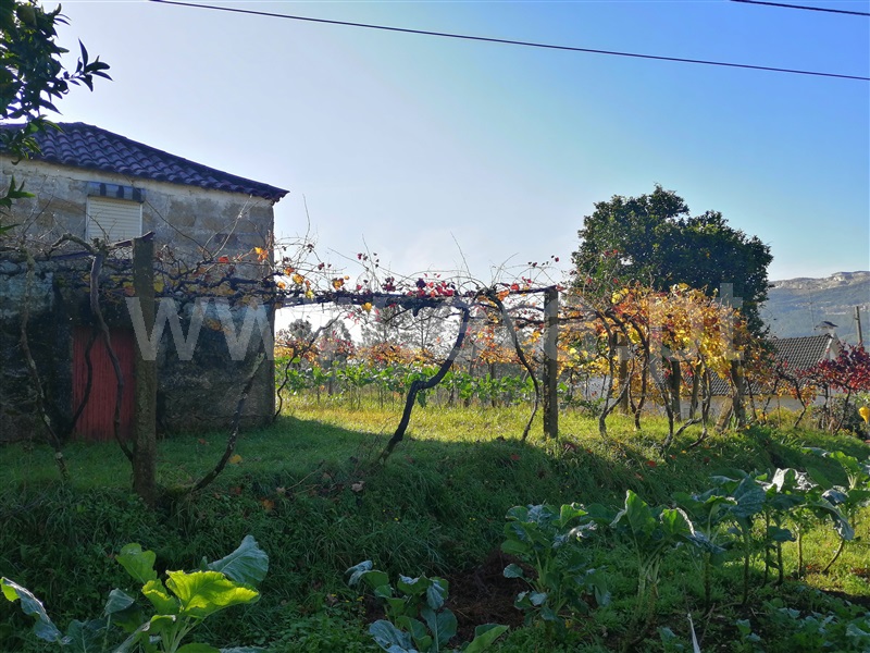 Terreno com ruina  Ponte de Lima, Cepões - 1131892 - 5