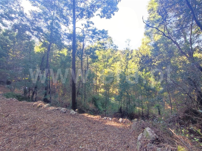 Terreno com ruina  Ponte de Lima, Estorãos - 98277 - 2