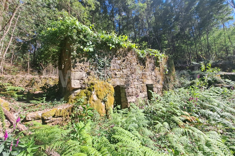 Terreno com ruina / Ponte de Lima, Estorãos