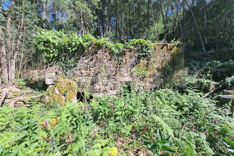 Terreno com ruina  Ponte de Lima, Estorãos - 98277 - 3