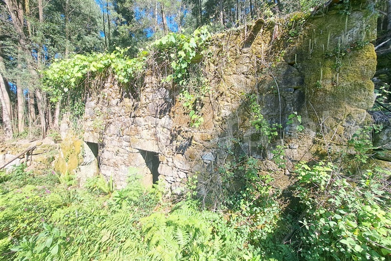 Terreno com ruina  Ponte de Lima, Estorãos - 98277 - 4