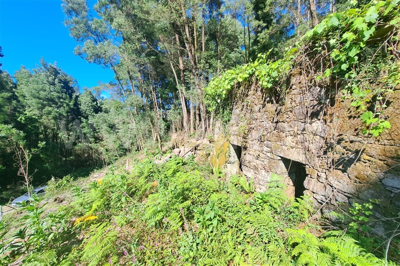 Terreno com ruina  Ponte de Lima, Estorãos - 98277 - 5