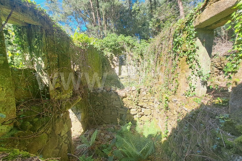 Terreno com ruina  Ponte de Lima, Estorãos - 98277 - 8