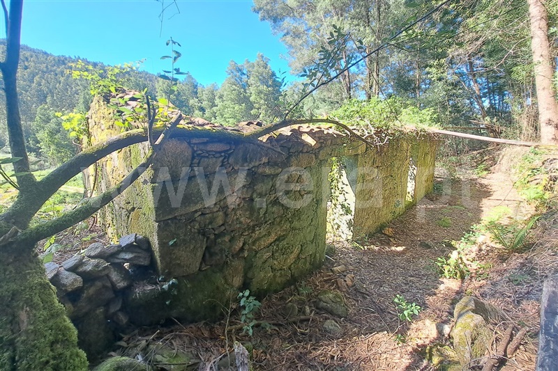 Terreno com ruina  Ponte de Lima, Estorãos - 98277 - 9