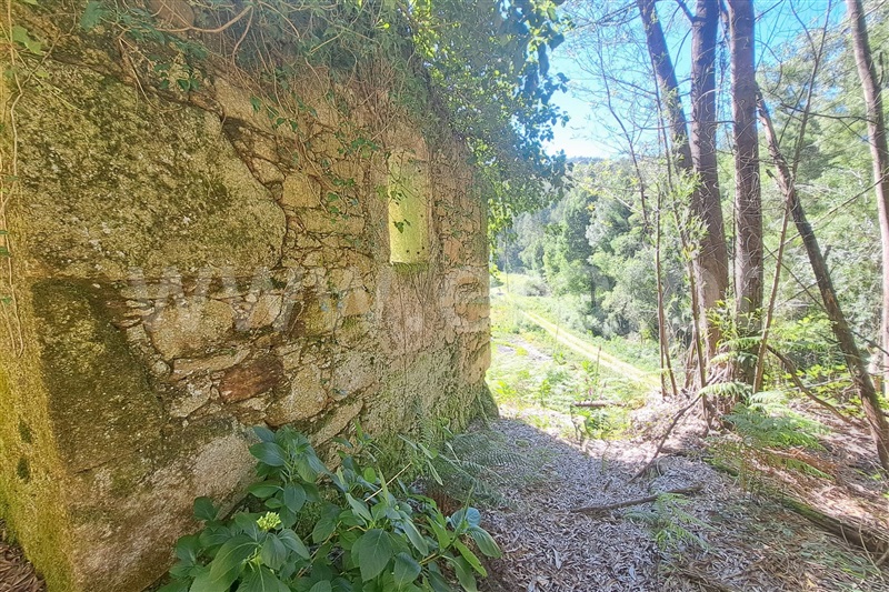 Terreno com ruina  Ponte de Lima, Estorãos - 98277 - 10