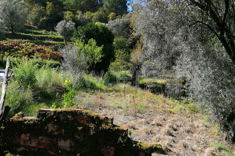 Moradia  Ponte de Lima, Gondufe - 98994 - 3