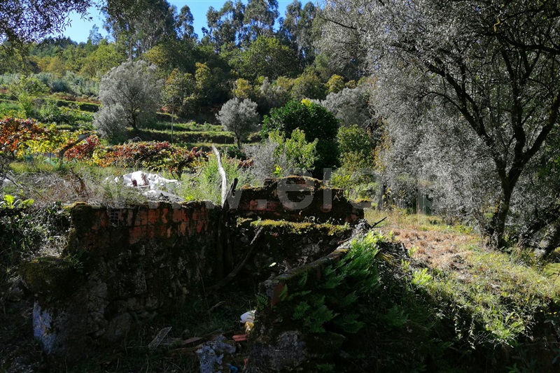Moradia  Ponte de Lima, Gondufe - 98994 - 5