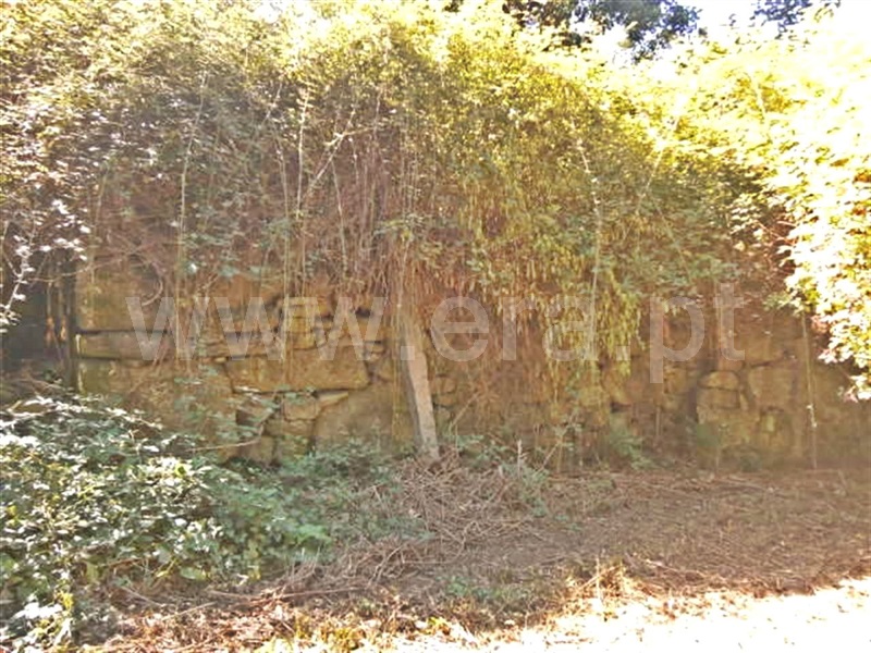Moradia  Póvoa de Lanhoso, Garfe - 671727 - 5