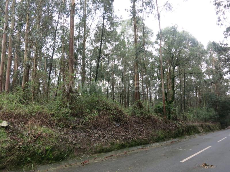 Terreno com ruina / Póvoa de Varzim, Laúndos