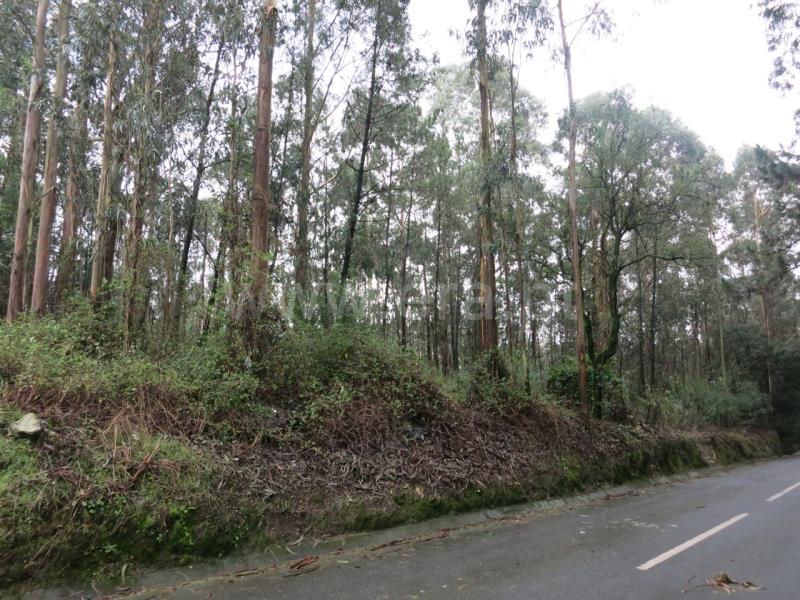 Terreno com ruina  Póvoa de Varzim, Laúndos - 609237 - 2