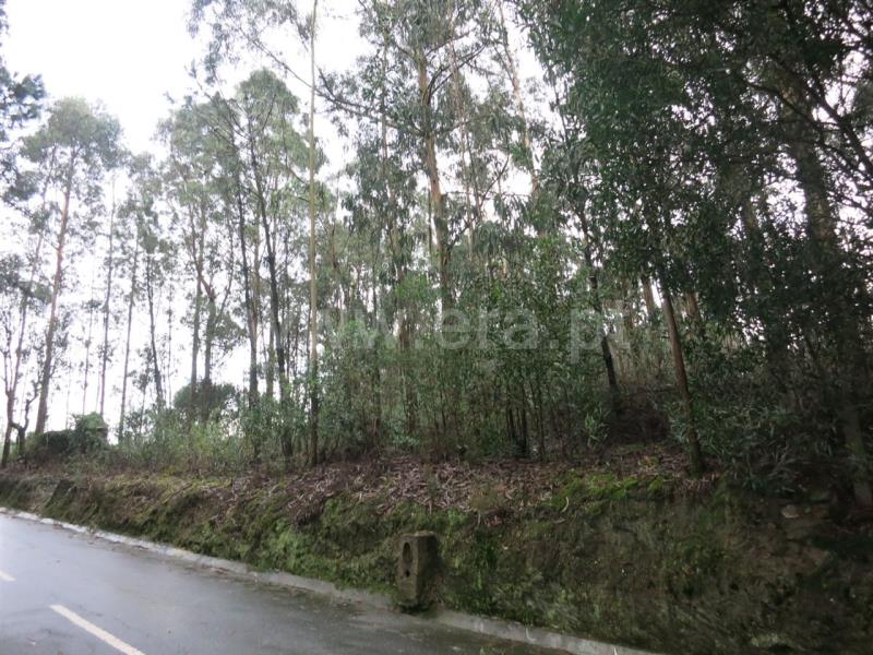Terreno com ruina  Póvoa de Varzim, Laúndos - 609237 - 3