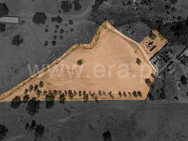 Terreno com ruina / Reguengos de Monsaraz, Corval