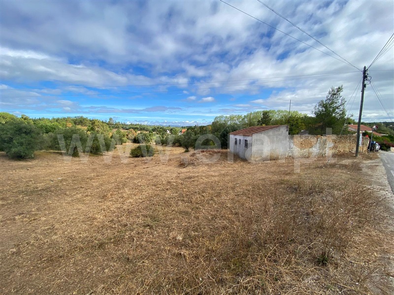 Terreno com ruina / Rio Maior, Anteporta