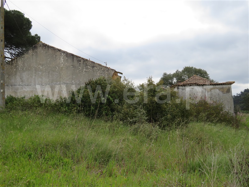 Terreno com ruina  Rio Maior, São João da Ribeira e Ribeira de São João - 1232556 - 4