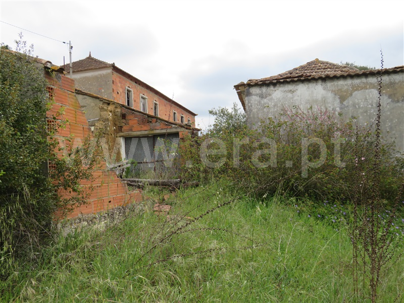 Terreno com ruina  Rio Maior, São João da Ribeira e Ribeira de São João - 1232556 - 5