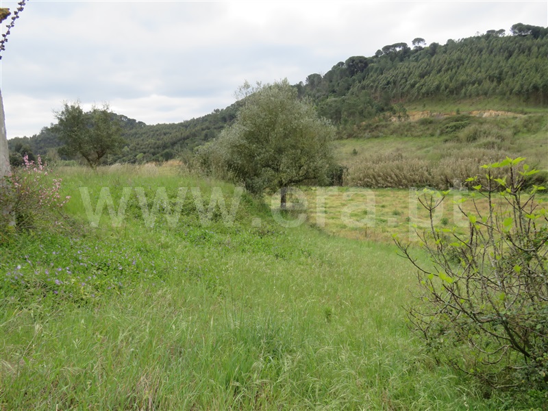 Terreno com ruina  Rio Maior, São João da Ribeira e Ribeira de São João - 1232556 - 6