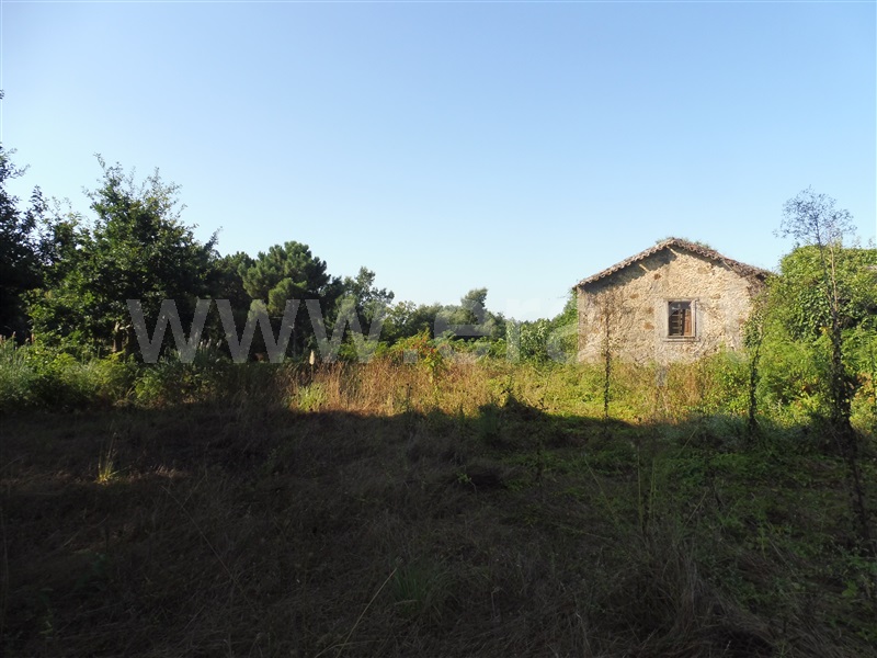 Terreno com ruina / Santa Maria da Feira, Romariz /Milheirós de Poiares e Pigeiros