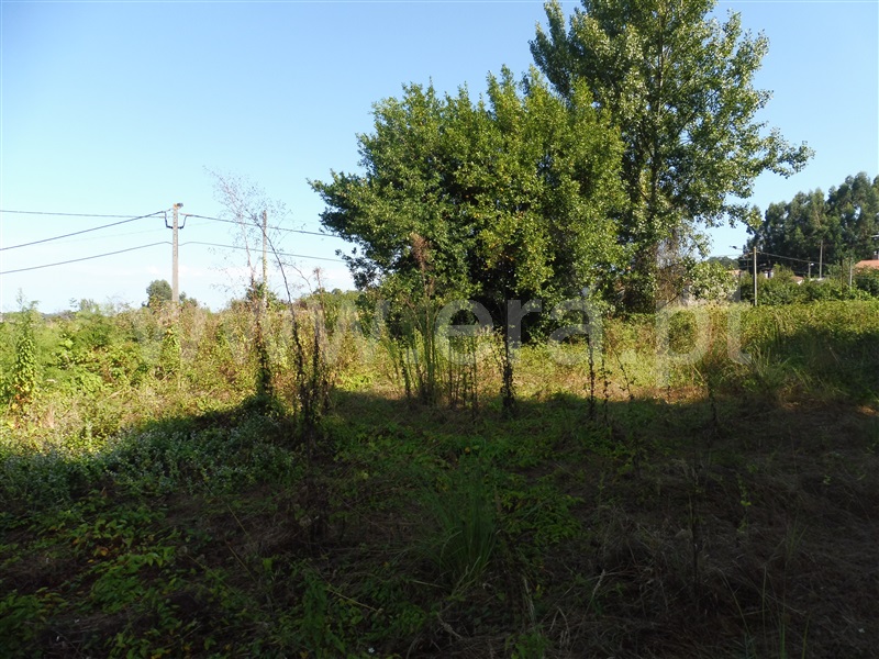 Terreno com ruina  Santa Maria da Feira, Romariz /Milheirós de Poiares e Pigeiros - 941691 - 3