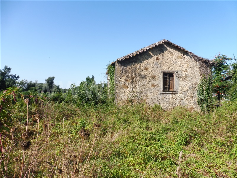Terreno com ruina  Santa Maria da Feira, Romariz /Milheirós de Poiares e Pigeiros - 941691 - 4