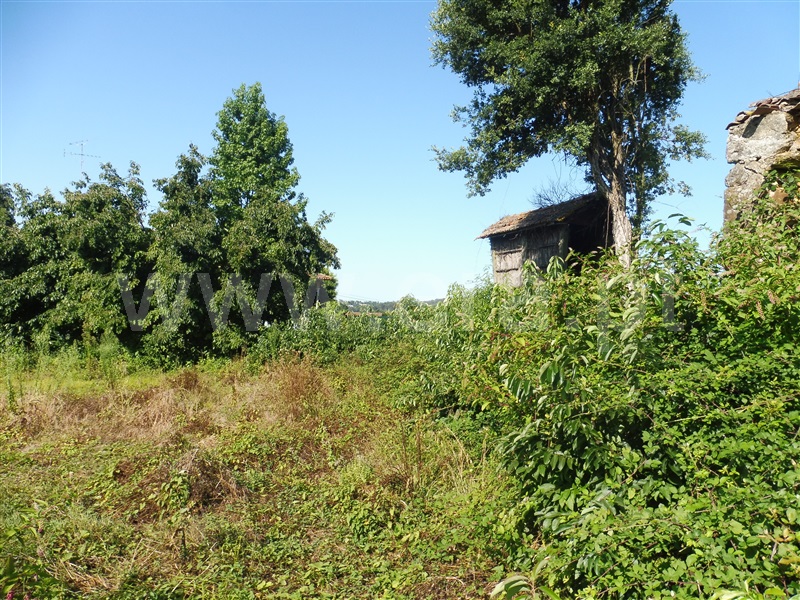 Terreno com ruina  Santa Maria da Feira, Romariz /Milheirós de Poiares e Pigeiros - 941691 - 5
