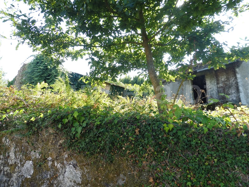 Terreno com ruina  Santa Maria da Feira, Romariz /Milheirós de Poiares e Pigeiros - 941691 - 7