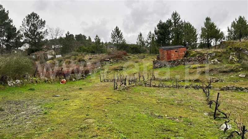 Terreno com ruina / Santa Marta de Penaguião, Cumieira