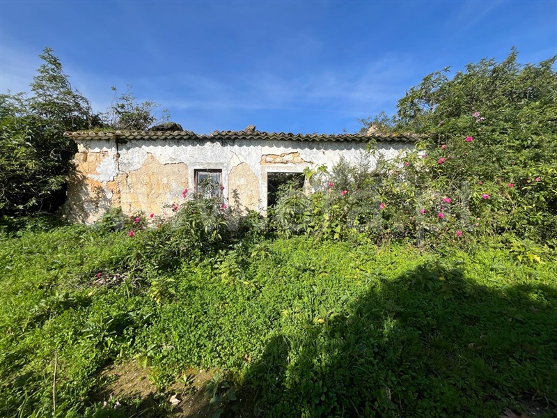 Terreno com ruina  Santarém, Achete, Azoia de Baixo e Póvoa de Santarém - 1394635 - 5