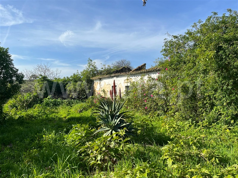Terreno com ruina  Santarém, Achete, Azoia de Baixo e Póvoa de Santarém - 1394635 - 6