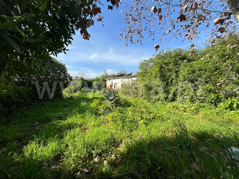 Terreno com ruina  Santarém, Achete, Azoia de Baixo e Póvoa de Santarém - 1394635 - 7