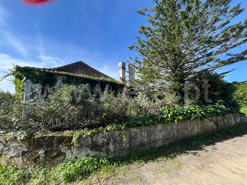 Terreno com ruina  Santarém, Achete, Azoia de Baixo e Póvoa de Santarém - 1394635 - 8