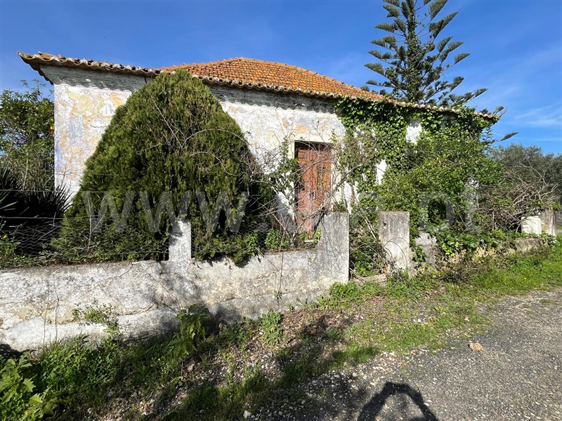 Terreno com ruina  Santarém, Achete, Azoia de Baixo e Póvoa de Santarém - 1394635 - 13