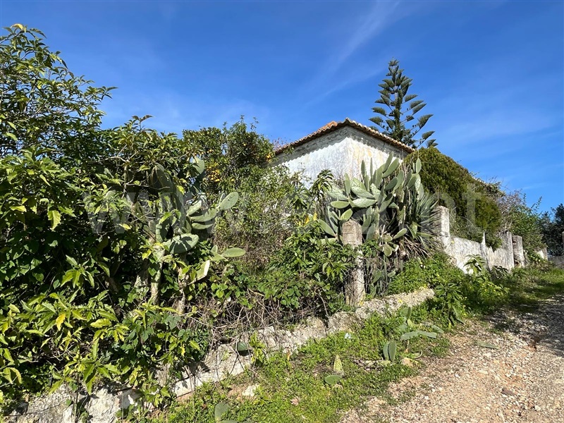 Terreno com ruina  Santarém, Achete, Azoia de Baixo e Póvoa de Santarém - 1394635 - 14