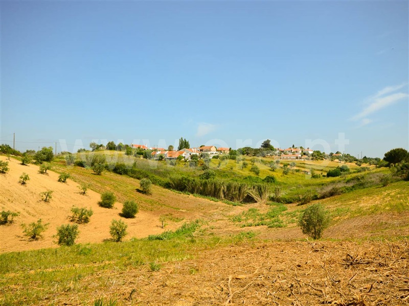 Moradia  Santarém, Baixinho - 627332 - 10