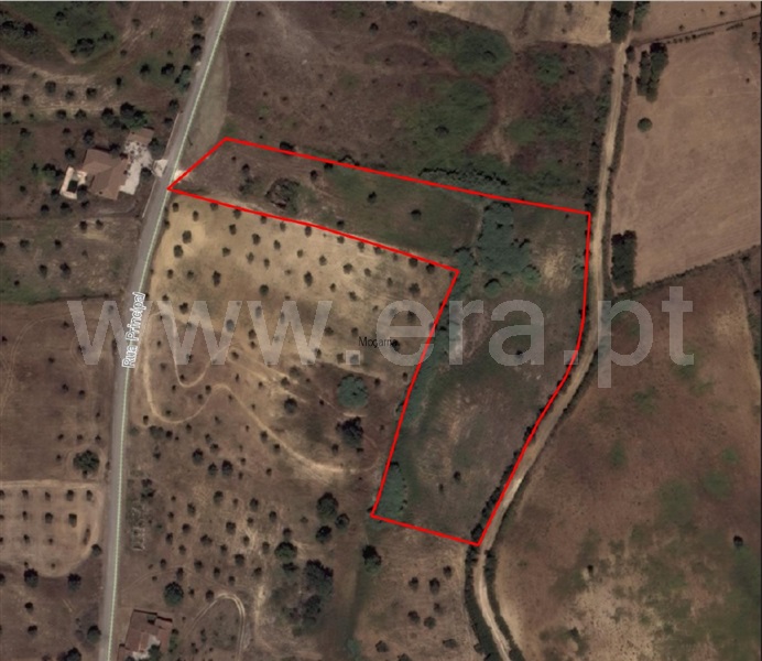 Moradia  Santarém, Baixinho - 627332 - 13