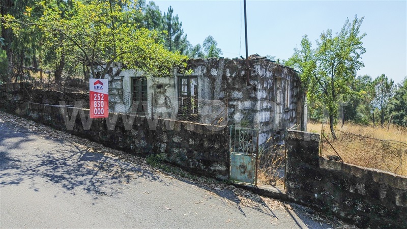 Terreno com ruina / Santo Tirso, São Tomé Negrelos